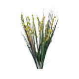 Lemon grass spray