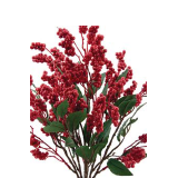Red Berry bush